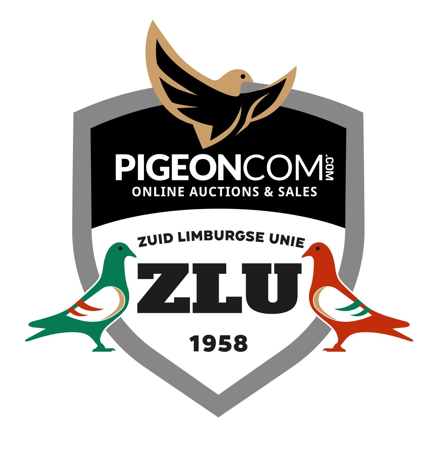 ZLU STERRENSHOW DUIVEN/PIGEONS - Part 4