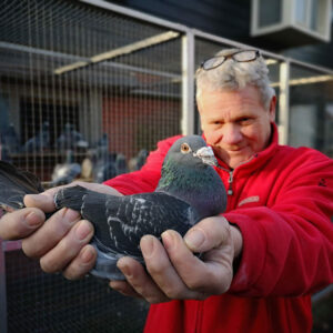 KAPTEIN - SOETERBROEK