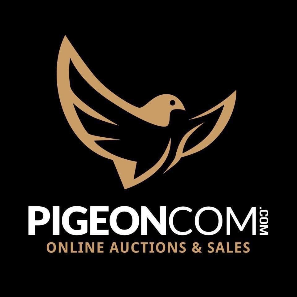 PIGEONCOM - R.A. BAKKER & ZN SPECIAL (december 2022)