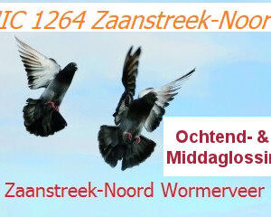 COMB. J. HOMMES & ZNN