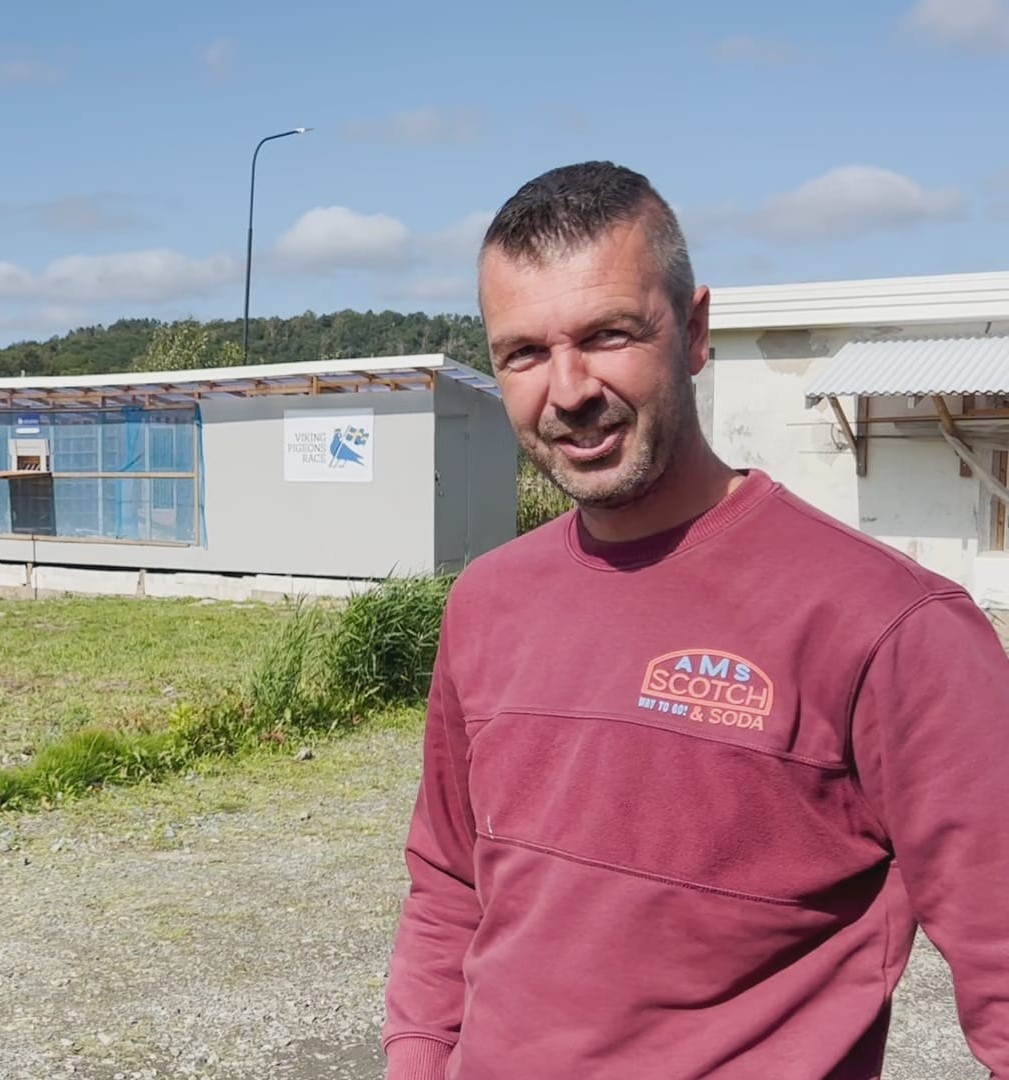 HERMAN HUP OLR PIGEONS