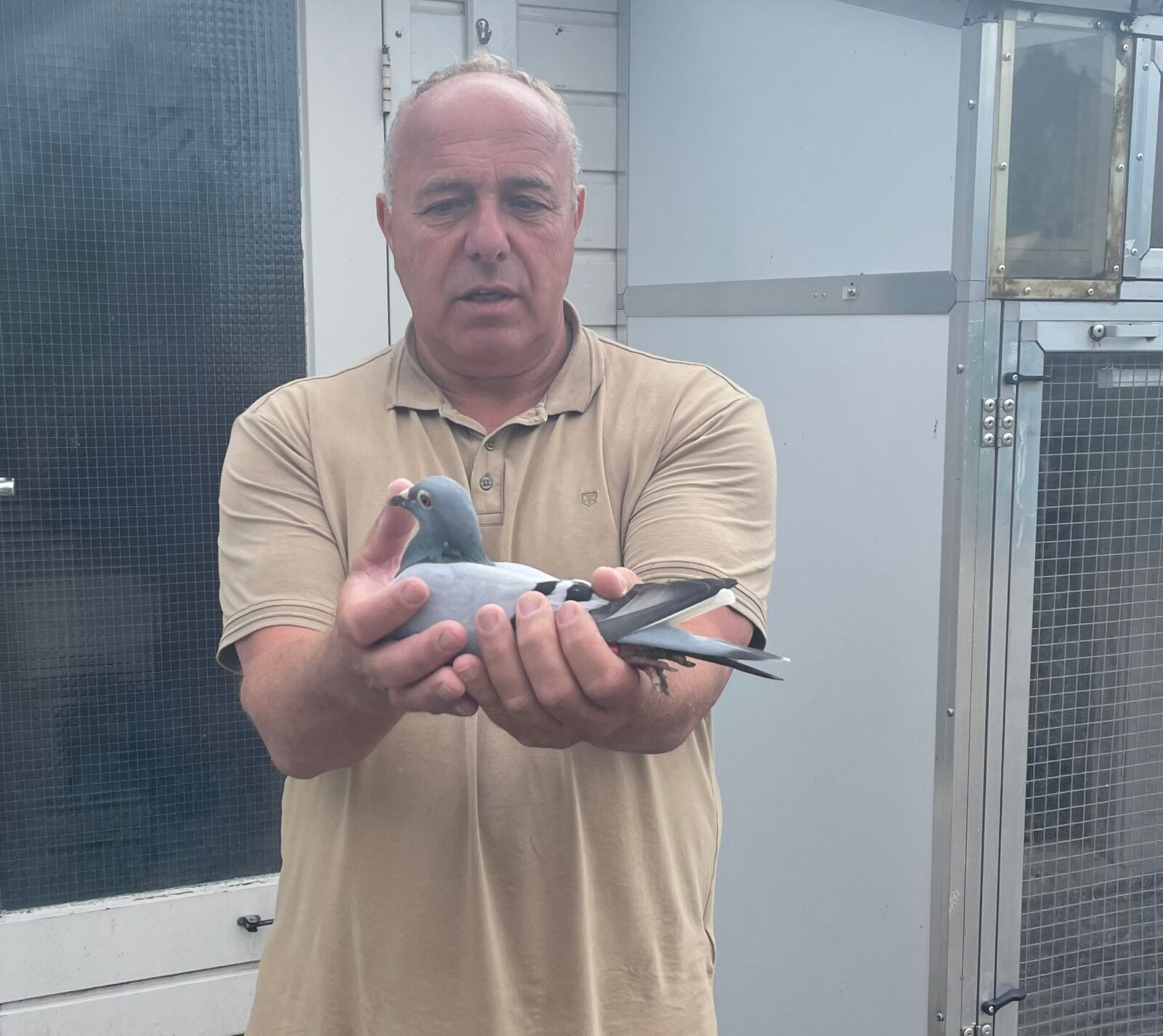 WIM SCHOLTEN - ALLROUND CHAMPION